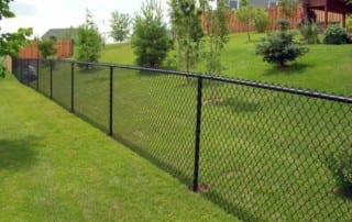 A black chain-link fence runs along a grassy yard, separating two properties with trees, shrubs, and houses in the background.
