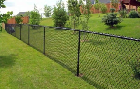 A black chain-link fence runs along a grassy yard, separating two properties with trees, shrubs, and houses in the background.