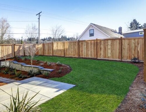 Help – How Do I Repair My Backyard Fence?