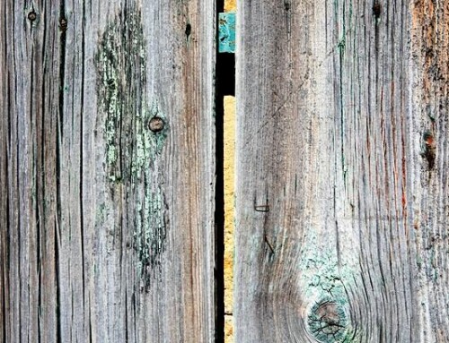 Why Is My Fence Rotting – And What Can I Do?
