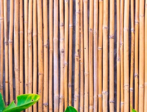Want A Unique Wood Fence? Look At Bamboo Fences!