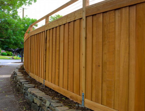 Looking at Wood Privacy Fences – Is Pine or Cedar Better?