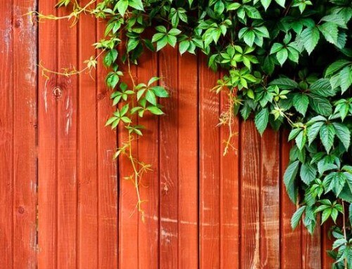 7 Tips to Consider When Choosing A New Fence For Your Yard!