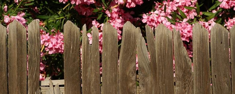 Wood Fences in College Station Texas