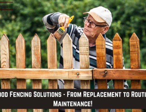 Wood Fencing Solutions – From Replacement to Routine Maintenance!