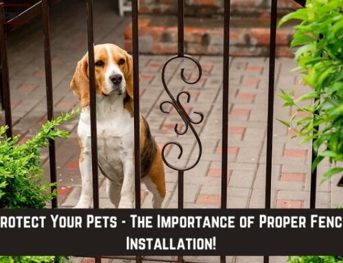 Protect Your Pets – The Importance of Proper Fence Installation!