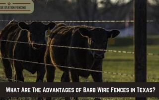 College Station Fencing in College Station, TX - Image of College Station Fencing Barb Wire Fencing Services
