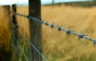 Close-up of a barbed wire fence with wooden posts, running through a grassy field. The background is blurred.