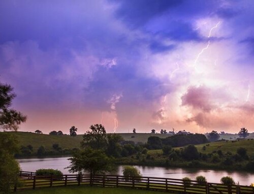 5 Dependable Ways to Make Your Fence Weatherproof!