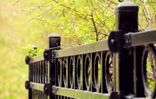 Black metal fence with circular patterns stands in front of green foliage and branches on a bright, natural background.