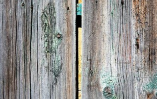 Close-up of two weathered wooden fence panels with a narrow gap between them, showing peeling paint and visible wood grain.