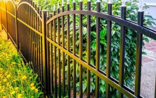 A black metal fence runs alongside blooming yellow flowers and green shrubs, with sunlight shining from the left side of the image.