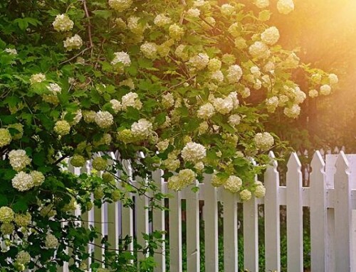 Why Should I Add Decorative Fencing to My Home Property?