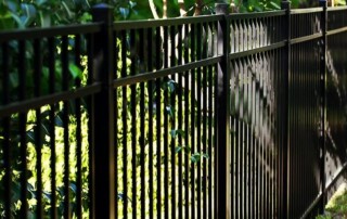 A black metal fence with vertical bars stands alongside green foliage and trees, casting shadows on the grass and fence panels.