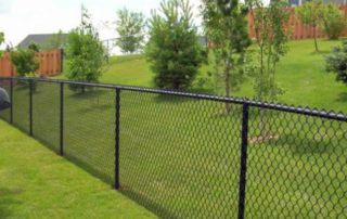 A black chain-link fence runs along a grassy yard with young trees and a wooden privacy fence in the background.
