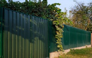 A green metal fence with leafy vines growing over the top, with trees and shrubs visible in the background.