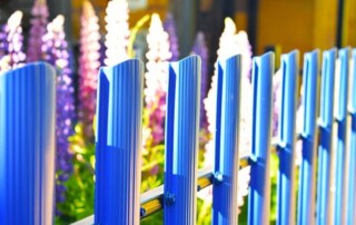 A blue metal fence with vertical slats stands in front of purple and pink lupine flowers in a garden.
