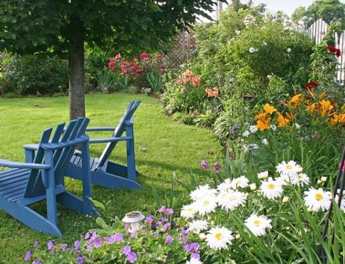 The Value of Backyard Fences