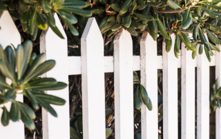 White picket fence with green leafy shrubs growing through the gaps and over the top.
