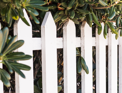 Understanding The Primary Benefits of Wood Fencing