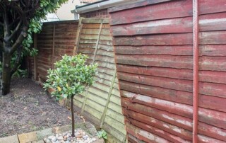 A small tree with rocks at its base stands near leaning wooden fences; one fence is painted red, the other is weathered wood.
