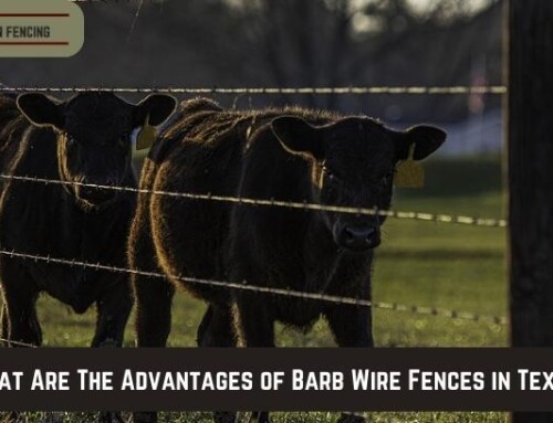 What Are The Advantages of Barb Wire Fences in Texas?