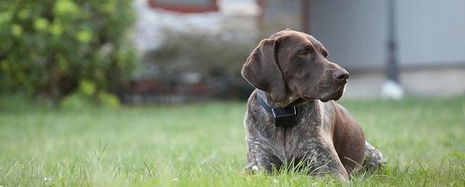 Fence Company in Bryan Texas