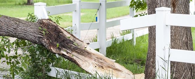 Fence Services in Bryan Texas