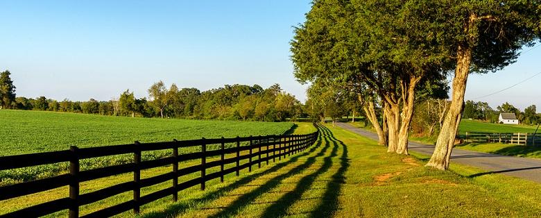A country road runs beside a wooden fence and a row of trees, with a green field and a house visible in the background under a clear blue sky.