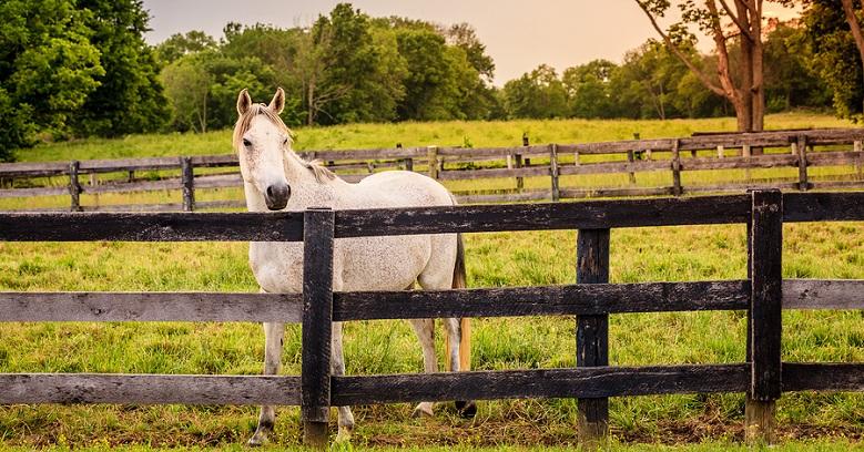 fences in college station texas