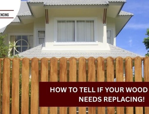 How to Tell If Your Wood Fence Needs Replacing!
