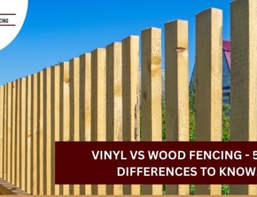 Vinyl vs Wood Fencing – 5 Key Differences to Know!