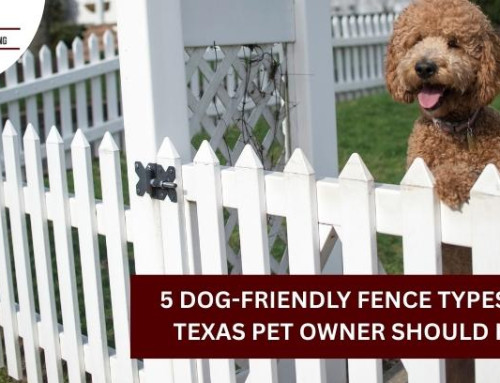 5 Dog-Friendly Fence Types Every Texas Pet Owner Should Know!