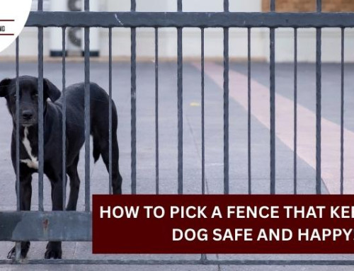 How to Pick a Fence That Keeps Your Dog Safe and Happy!