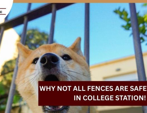 Why Not All Fences Are Safe for Pets in College Station!