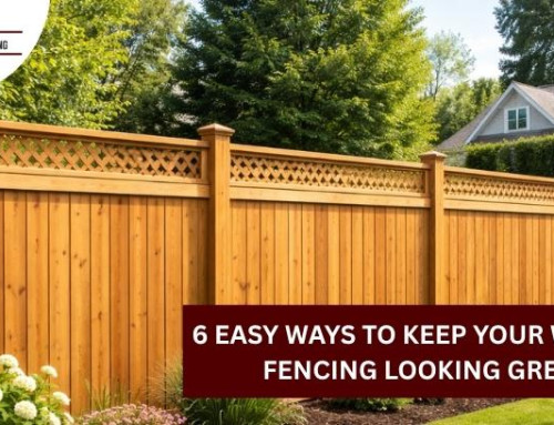 6 Easy Ways to Keep Your Wooden Fencing Looking Great!