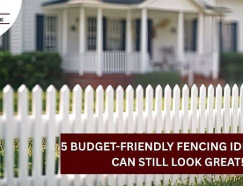 5 Budget-Friendly Fencing Ideas That Can Still Look Great!