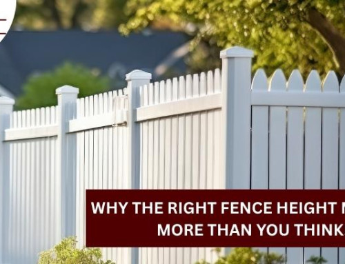 Why the Right Fence Height Matters More Than You Think!